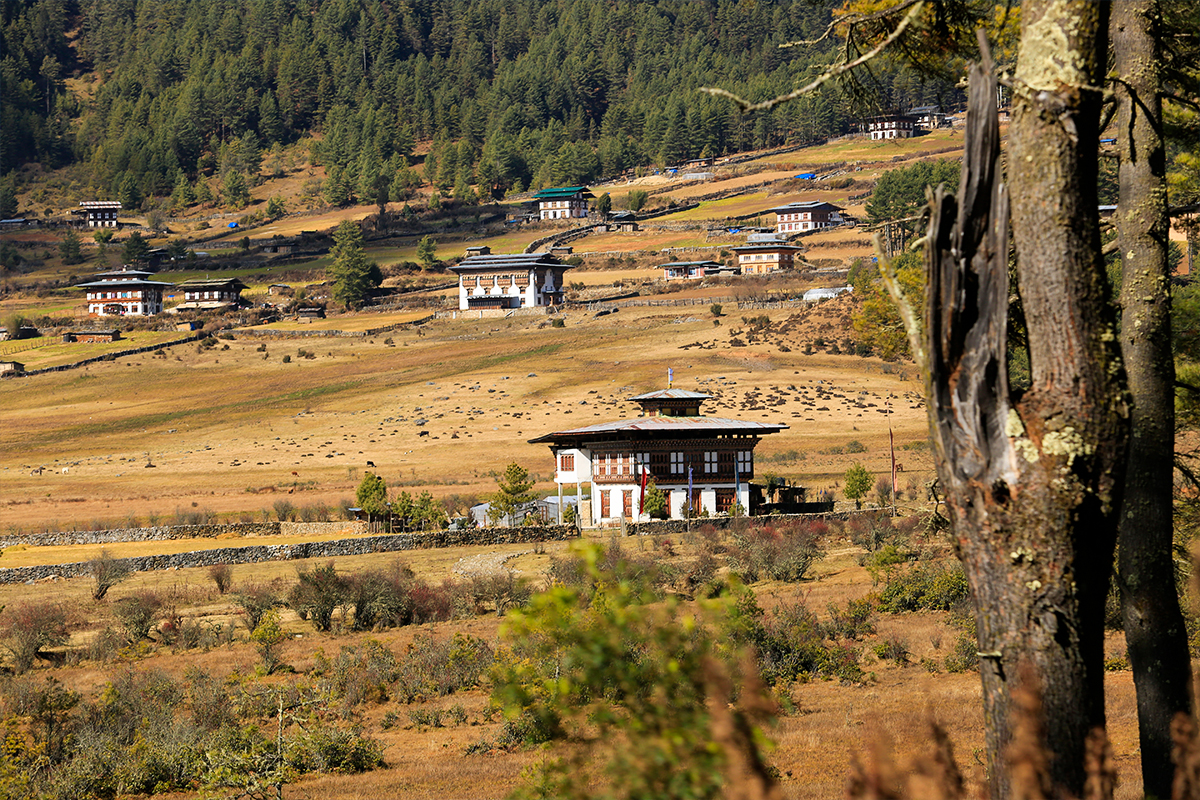 Phobjikha Valley- The land of Black-Necked Cranes